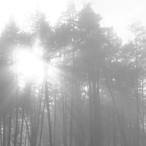 Photo #11625009