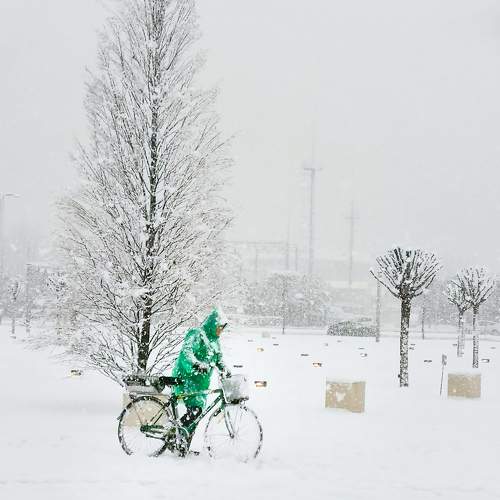Photo #11625047