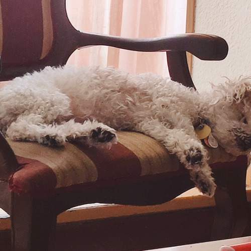 Photo #11625166