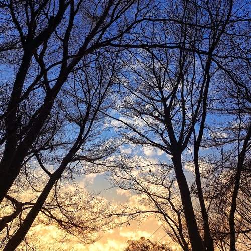 Photo #11625473