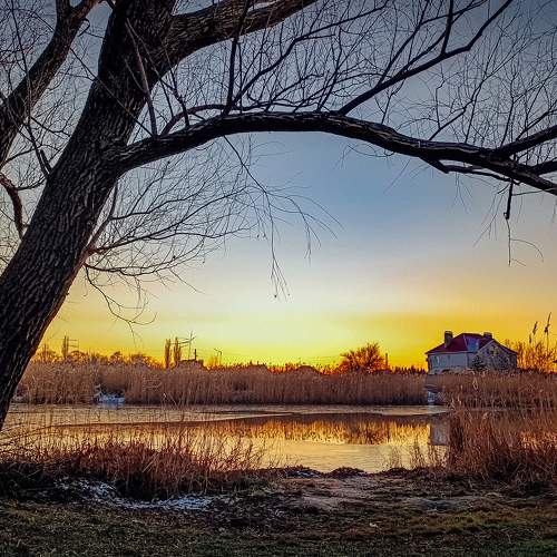 Photo #11625621