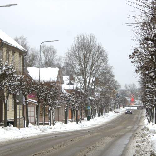 Photo #11625703