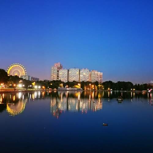 Photo #11626120