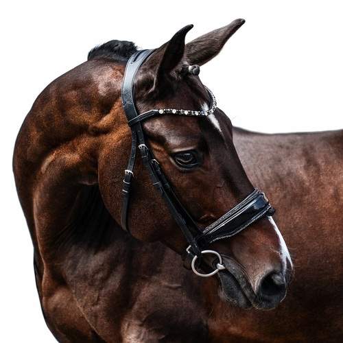 Photo #11626583