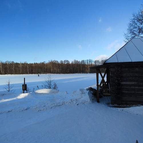 Photo #11626838