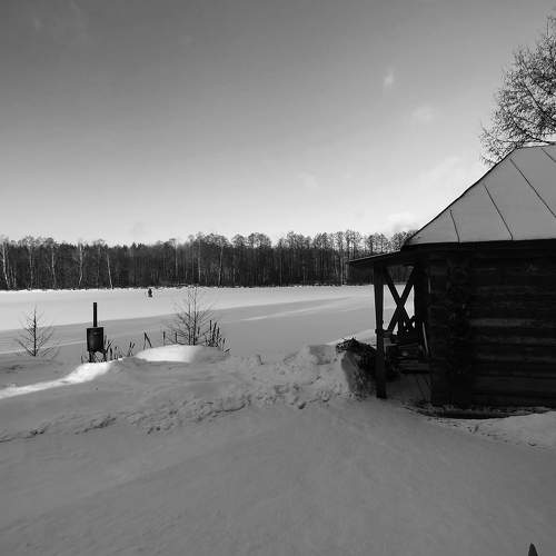 Photo #11626888