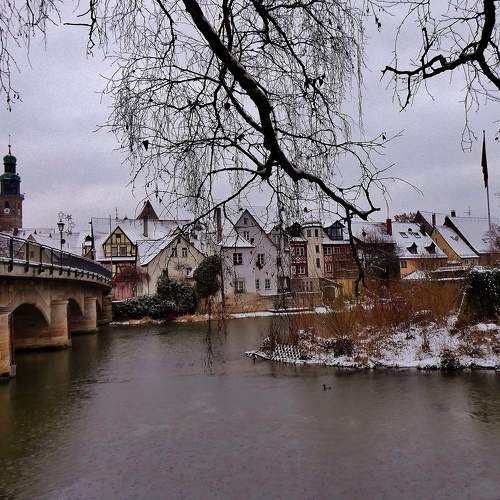 Photo #11626988