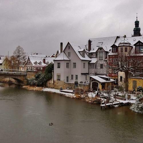 Photo #11627006