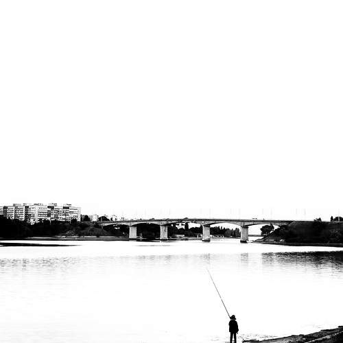 Photo #11627067