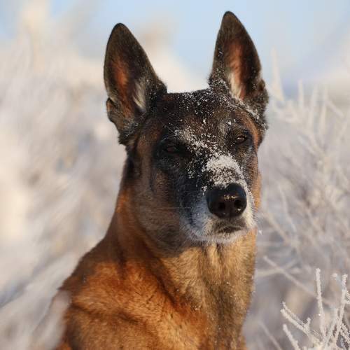 Photo #11627220