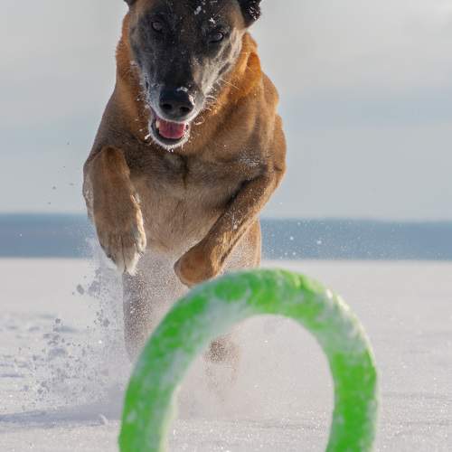 Photo #11627231