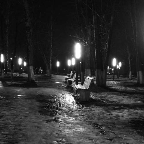 Photo #11627235