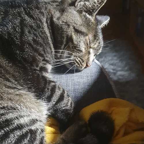 Photo #11627587