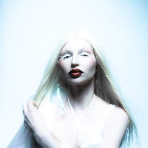Photo #11627856