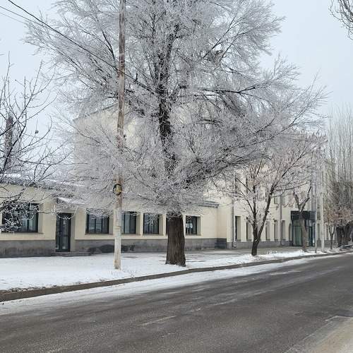 Photo #11627865