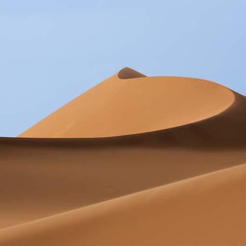 A day among the dunes