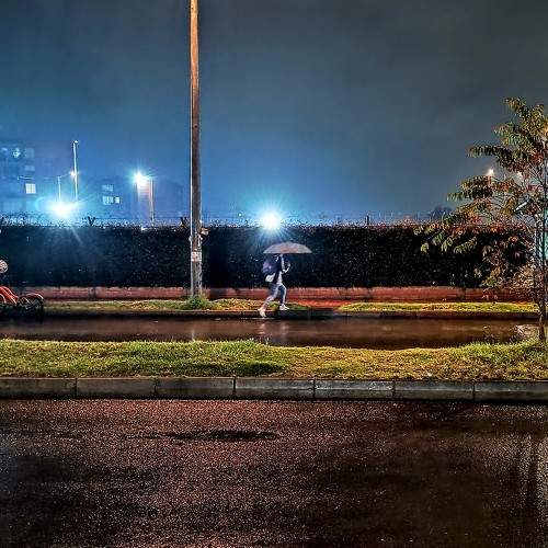Photo #11627891