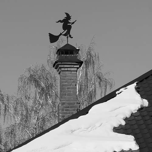 Photo #11628335