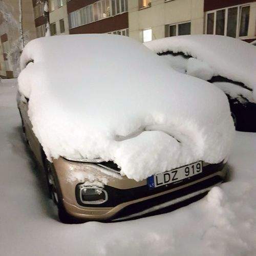 Photo #11628438