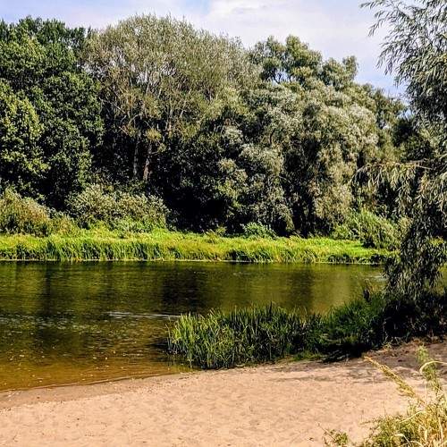 Photo #11628486