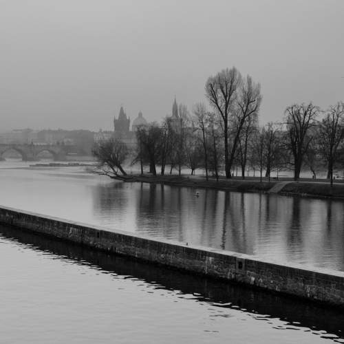 Fog in Prague