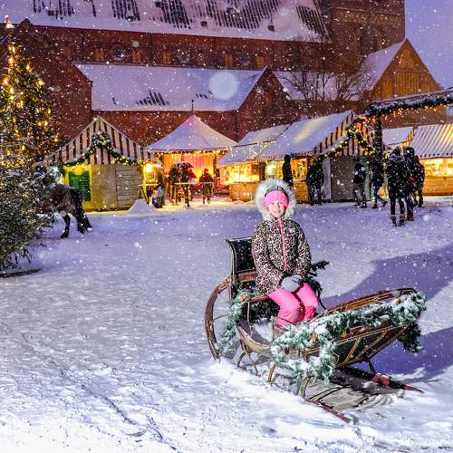 Photo #11628612