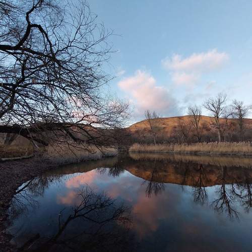 Photo #11628686