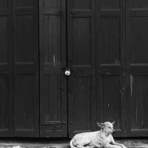 Photo #11628750