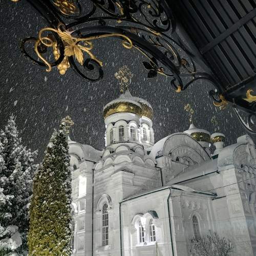 Photo #11629099