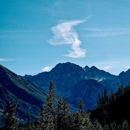 Photo #11630015