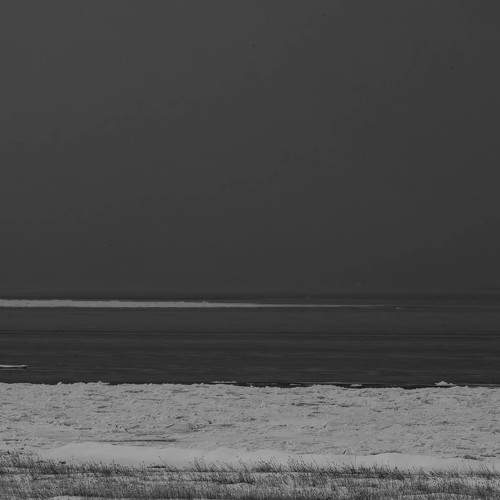 Photo #11630062