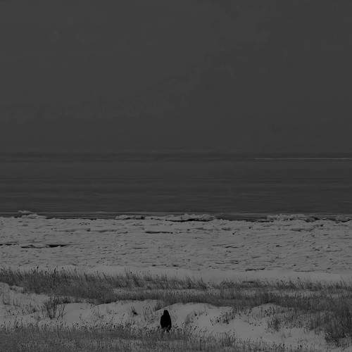 Photo #11630067