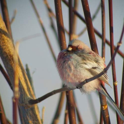 Photo #11630097
