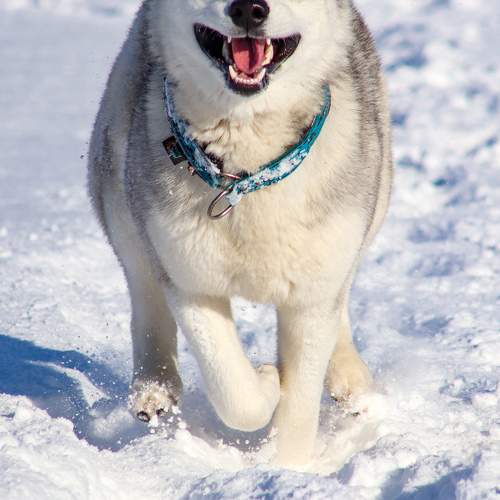 Photo #11630318