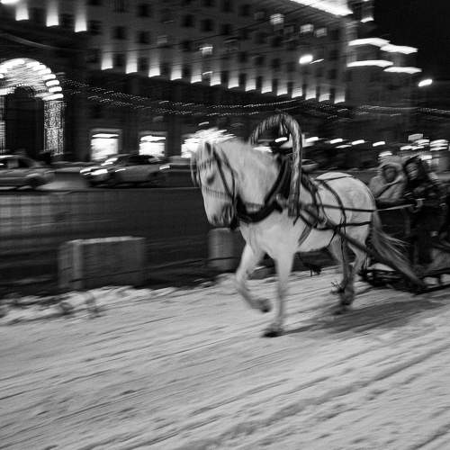 Photo #11630321