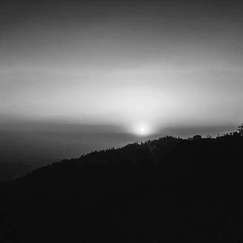 Photo #11630354