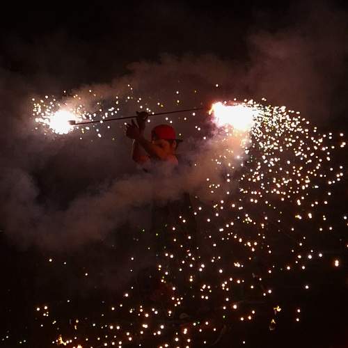Photo #11630664