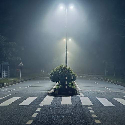 Whispers of the Night: A Foggy Road to Infinity