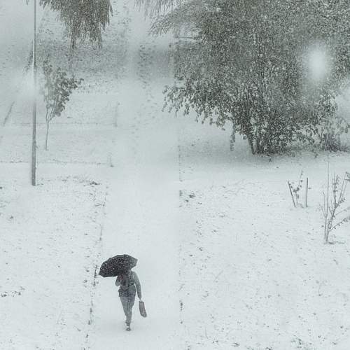Photo #11631008