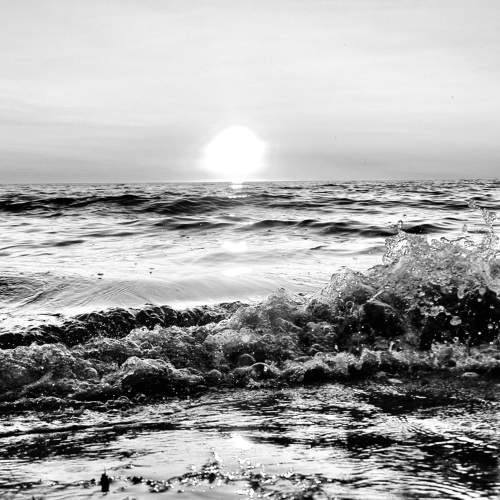 Photo #11631042