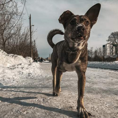 Photo #11631046