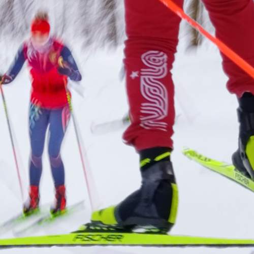 Photo #11631048