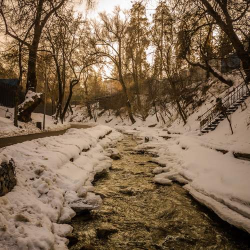 Photo #11631057