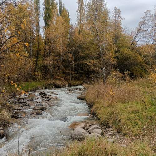 Photo #11631065