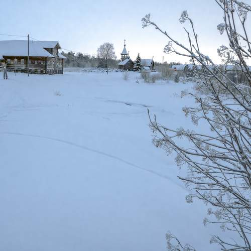 Photo #11631123
