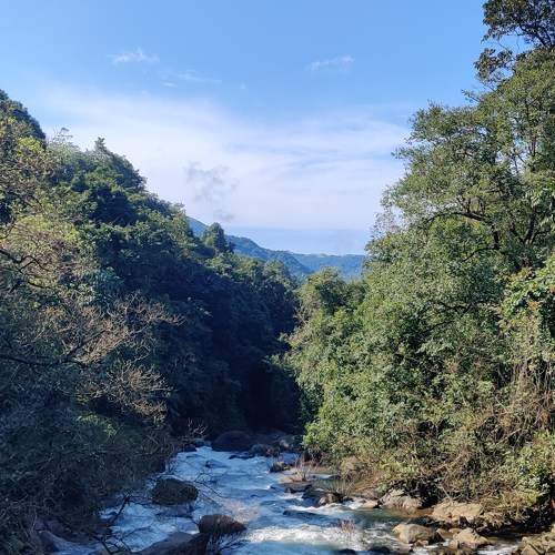 Photo #11631149