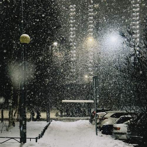 Photo #11631465