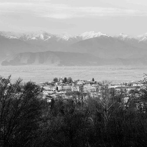Photo #11631722
