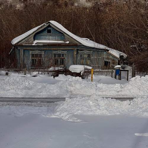 Photo #11631805
