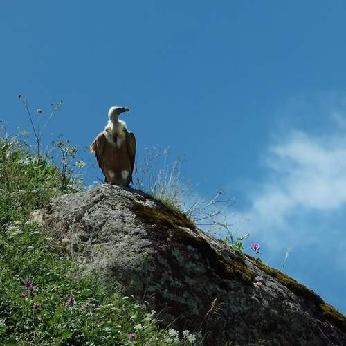 Photo #11631916